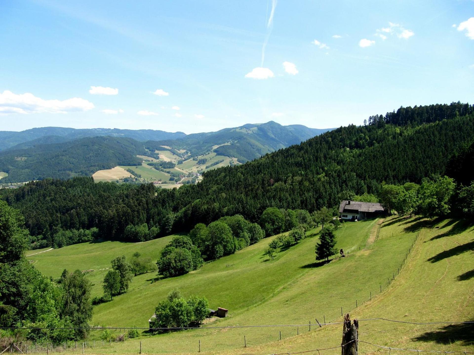 Ferienwohnung Weyl Eschbach  Buitenkant foto